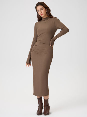 Brown Long sleeve High neck midi dress